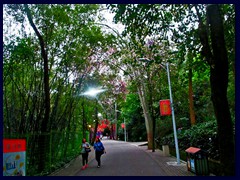 One of the hilly walking paths of Yuexiu Park.